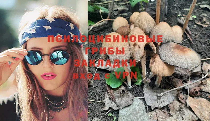 купить наркотик  Шадринск  Галлюциногенные грибы Magic Shrooms 